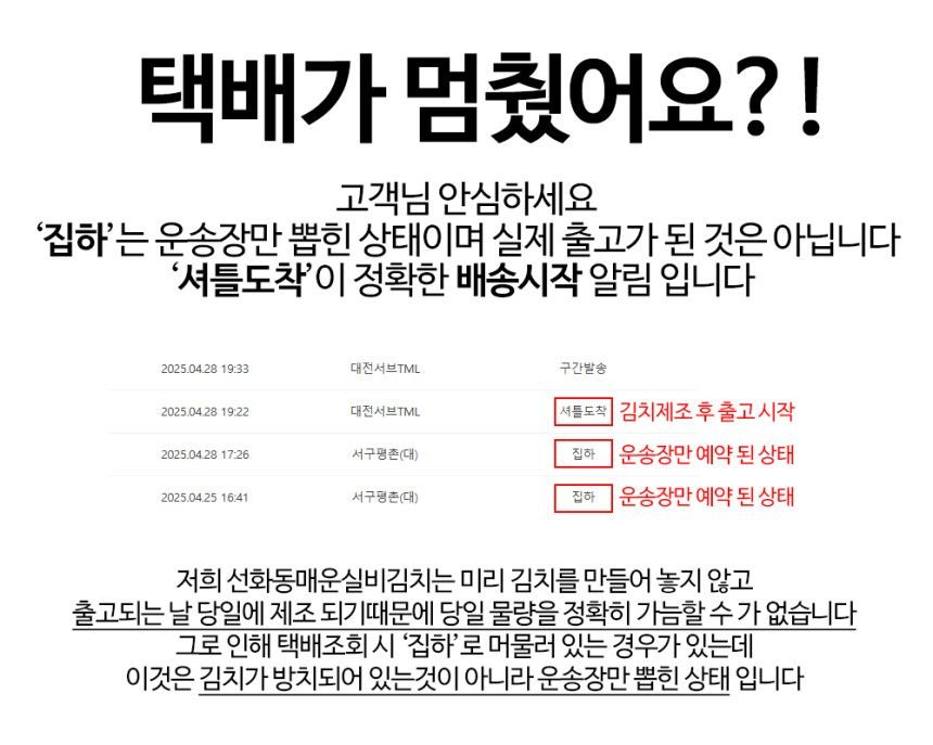 맛있게 매운 대전 선화동 실비 김치 800g+파김치 500g