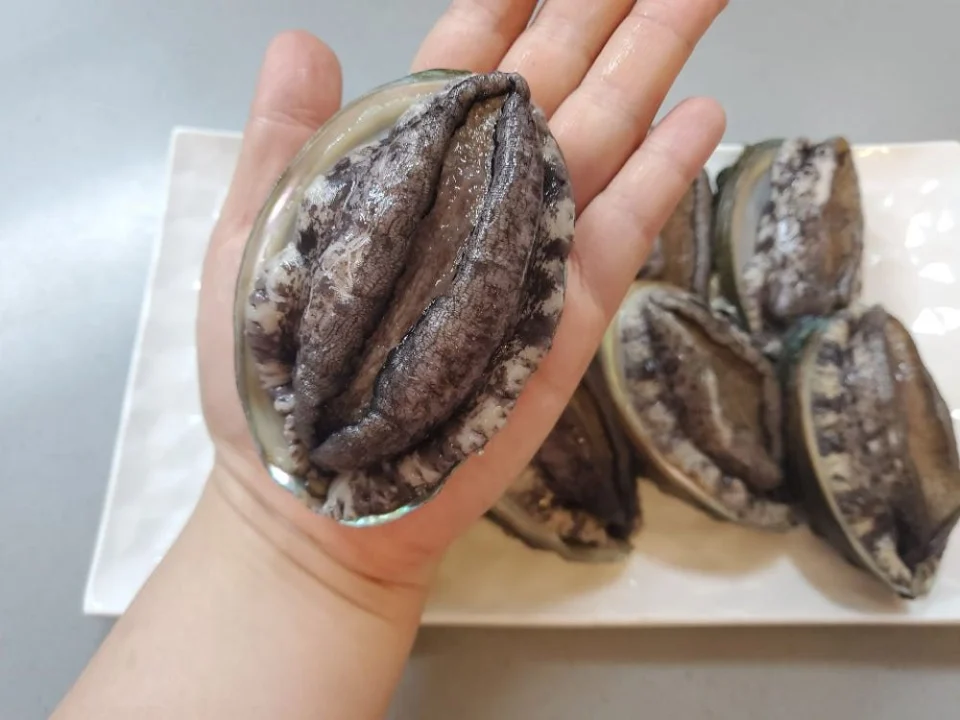 완도전복 활전복 1kg 6미부터 왕특대 꼬마전복 명절 선물세트 완도 4남매털보아빠